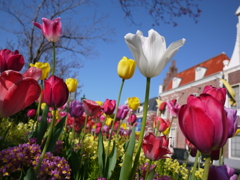 ハウステンボスにて