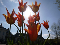 ハウステンボスにて