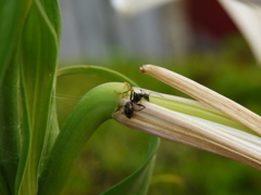 なにか甘いものをぉ・・。ゆり編