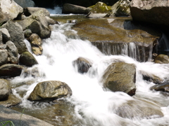 観音の滝　下流