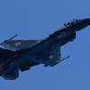 岐阜2016航空祭2