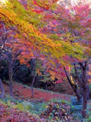 DSCN2186 (960x1280)