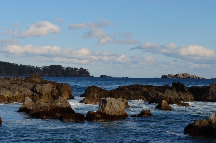 海