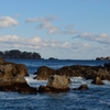 海