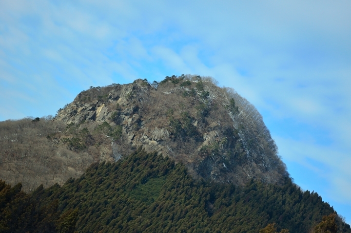 ゴリラ山