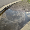 水溜り