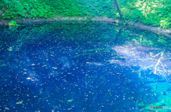 星降池　