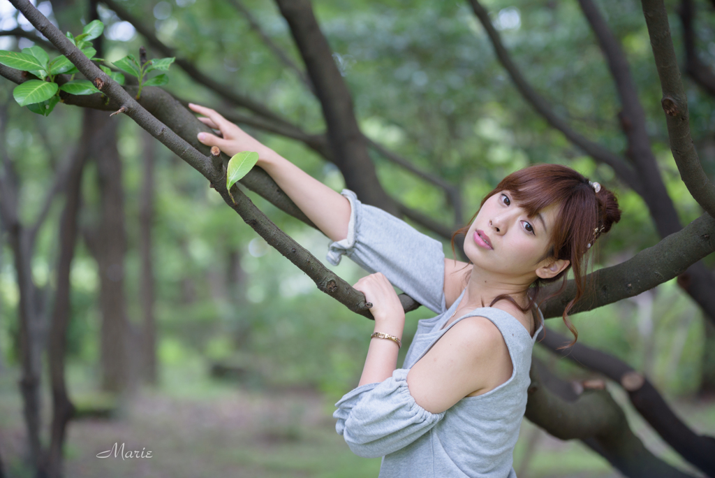 Branch Heart