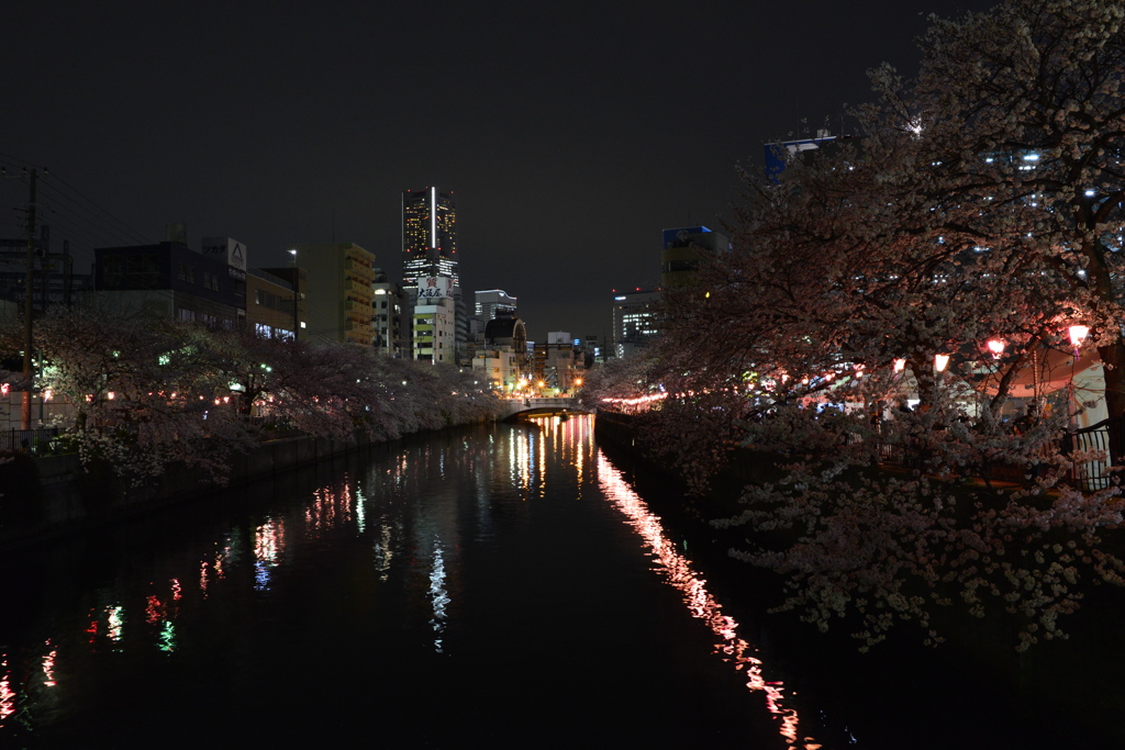 夜桜と大岡川とランドマークタワー