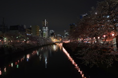 夜桜と大岡川とランドマークタワー