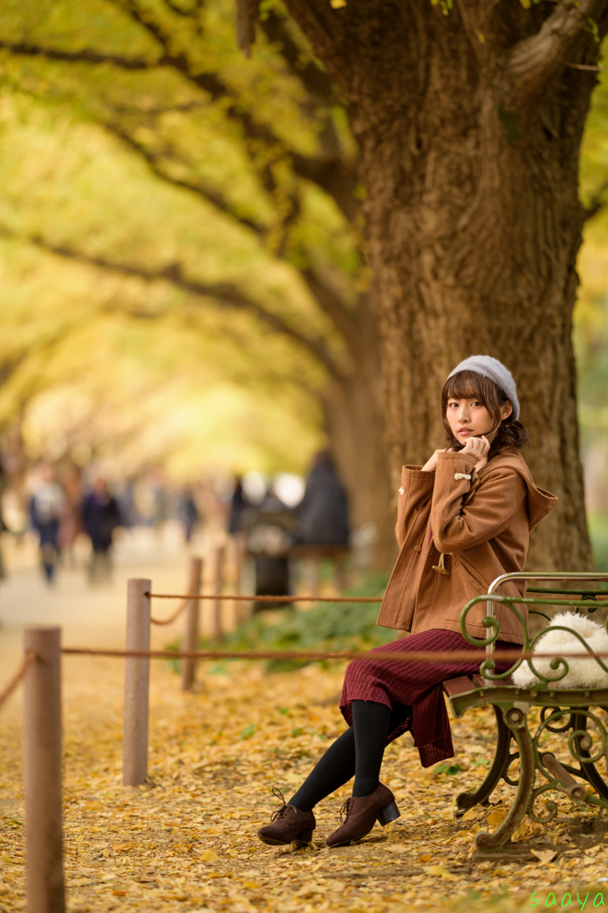 落ち葉のコンチェルト By Kao Id 写真共有サイト Photohito