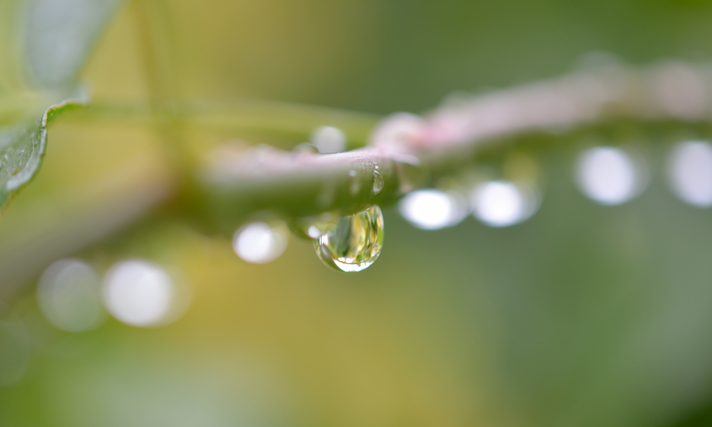 雨滴