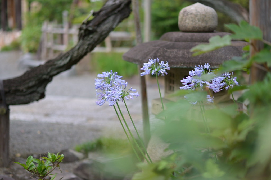 涼風