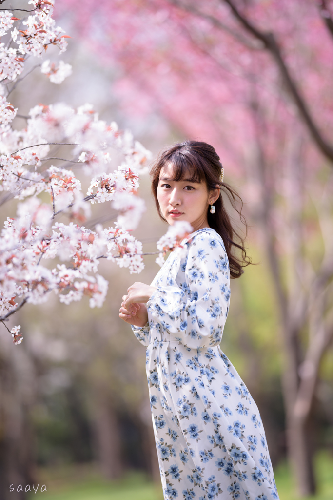 春風