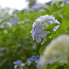 優しい雨♪