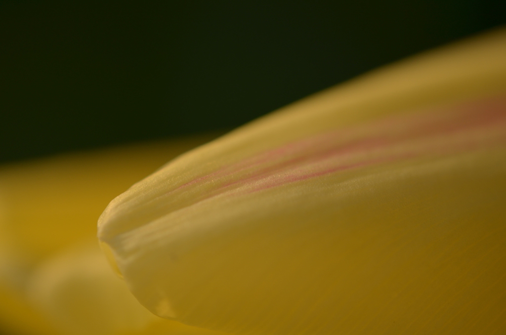 うちチュー2014♪　10