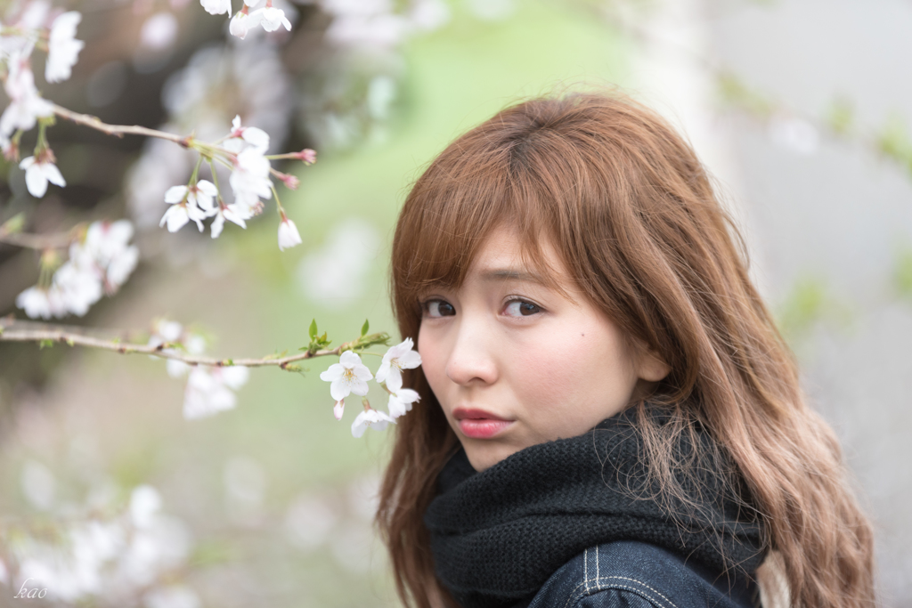 また来年...だね