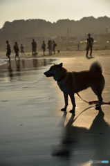 待ち犬