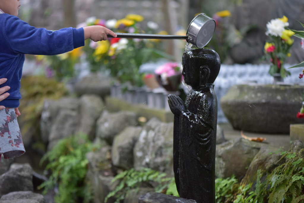 きれいにね♪