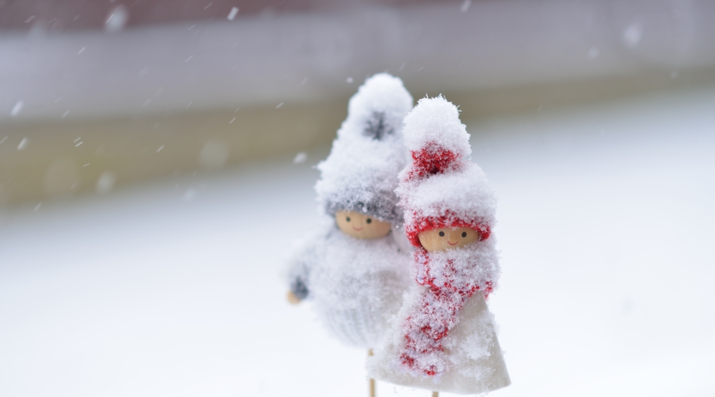 雪なんてへっちゃらよ！遊びに行くわよ！　は～い♪