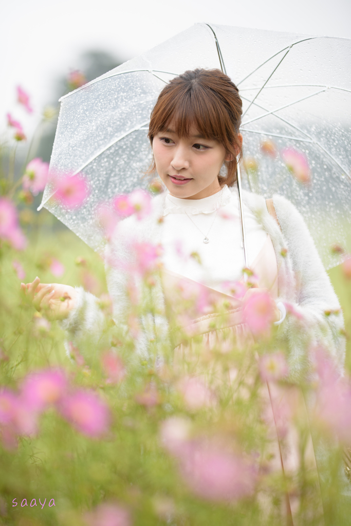 優しい雨