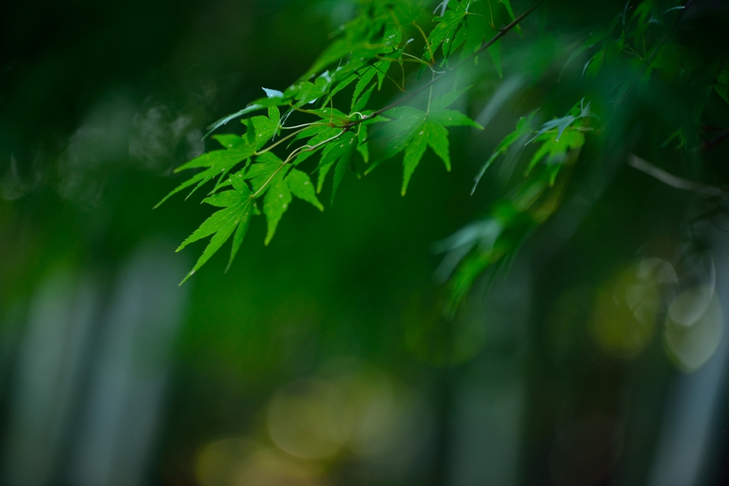 涼風