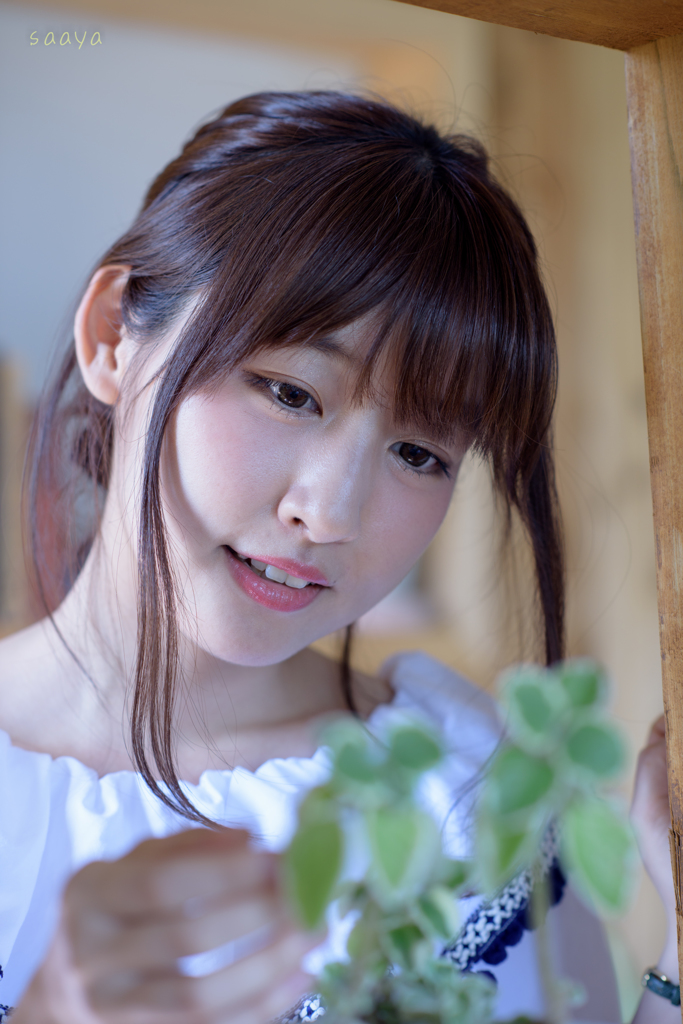 毎日がブランニューデイ