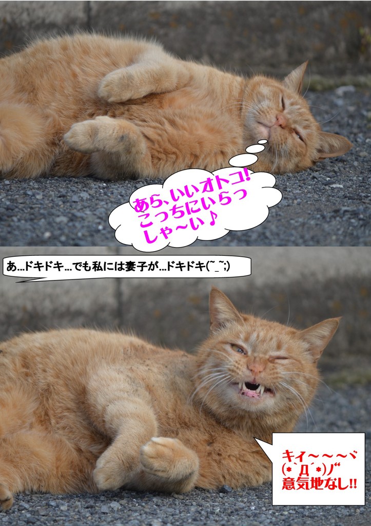 2コマ漫画♪♪