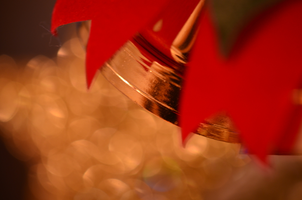 あったかクリスマス～♪