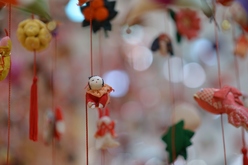 ここは何処？？！　そうです！ここは竜宮城です...