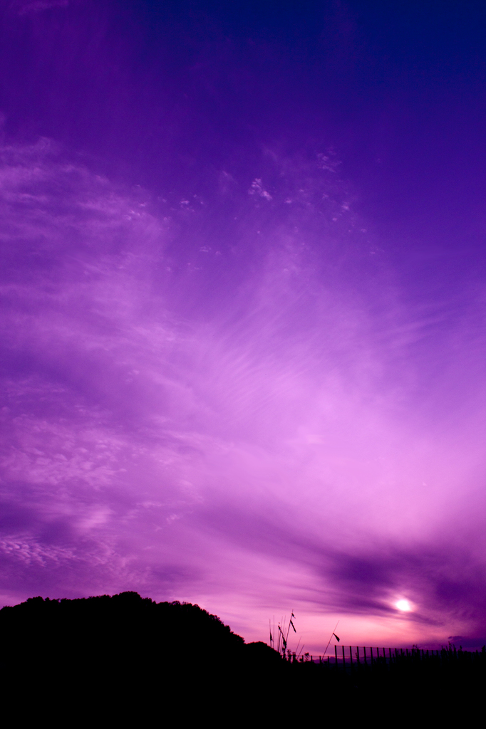 purple-gradation