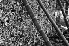 Wall of bamboo