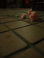 カーネーション・ドラマ2