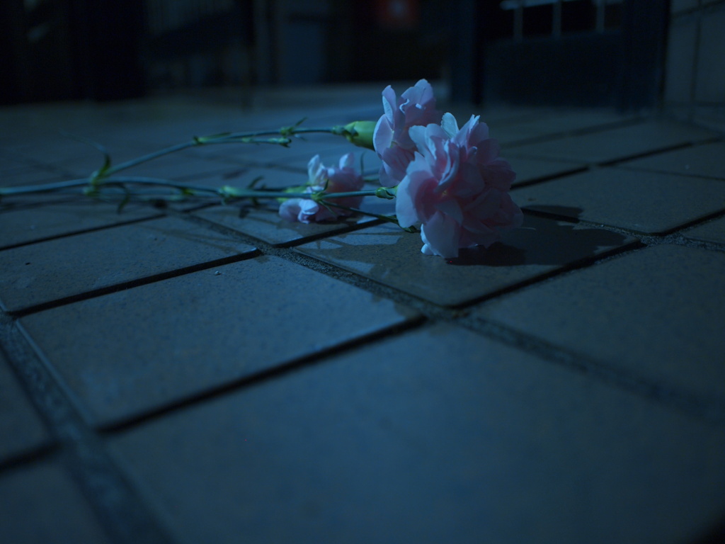 カーネーション・ドラマ