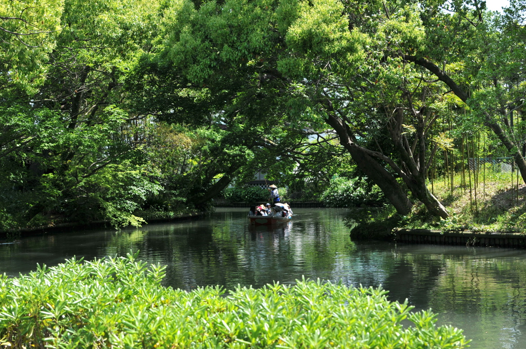柳川