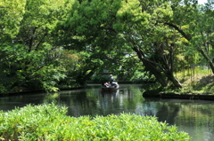 柳川