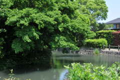 柳川