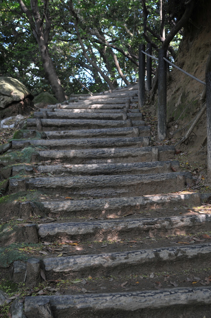 天拝山散歩