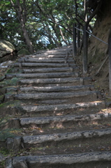 天拝山散歩