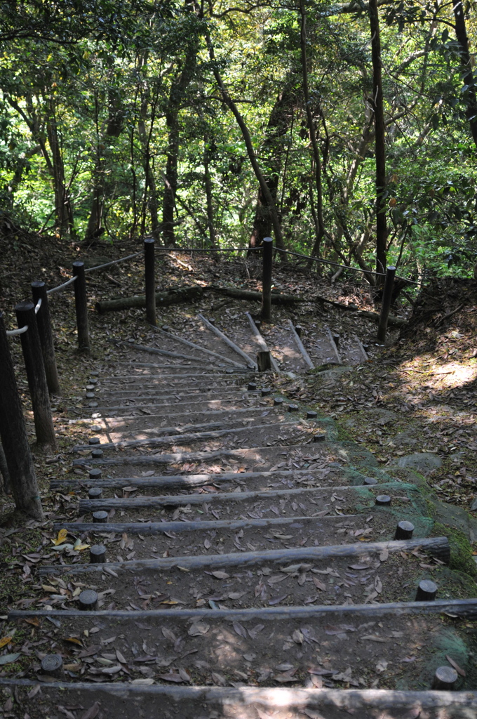 天拝山散歩