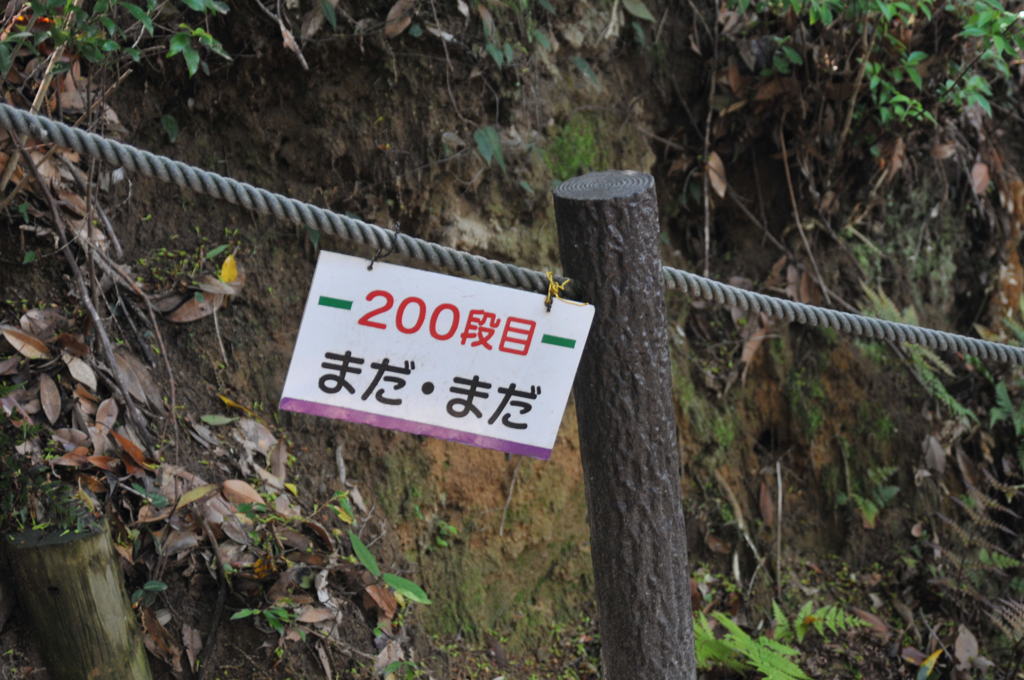 天拝山散歩