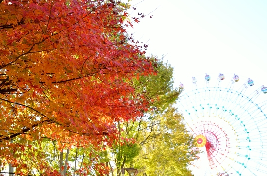 紅葉の向こうに