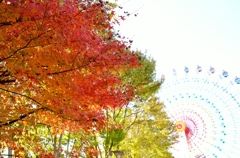 紅葉の向こうに