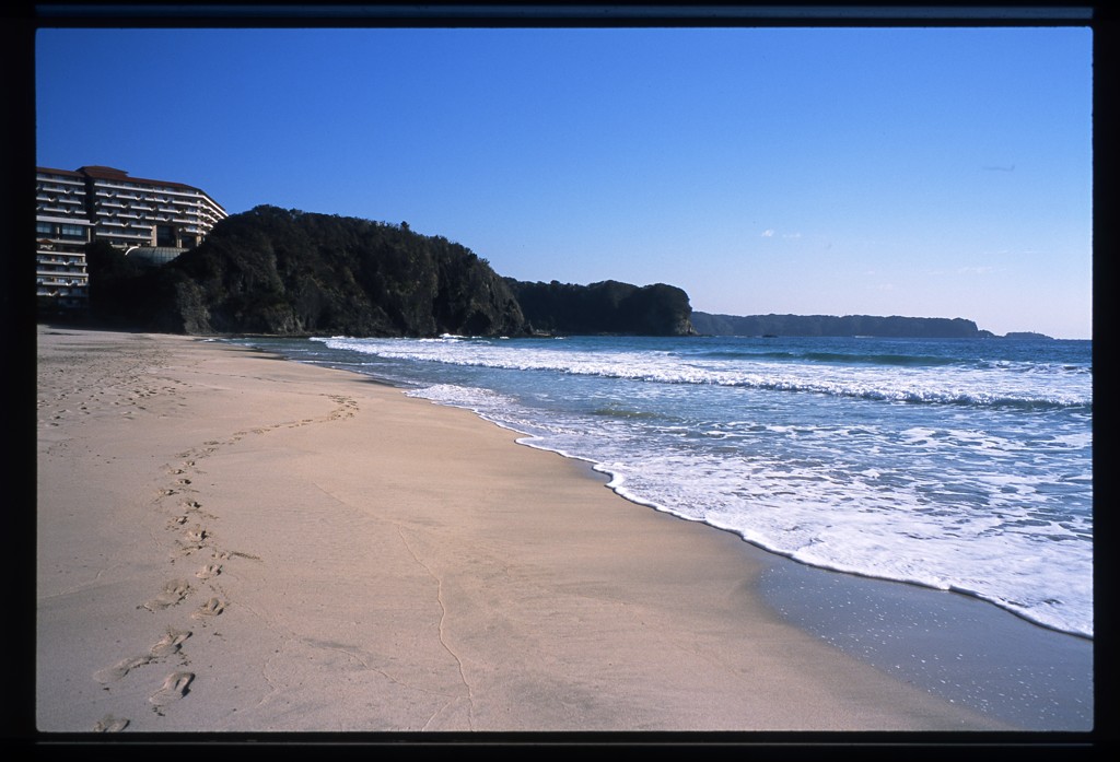 冬の海岸線