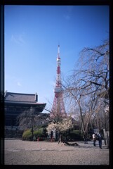 本堂と東京タワー