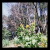 地元の公園４