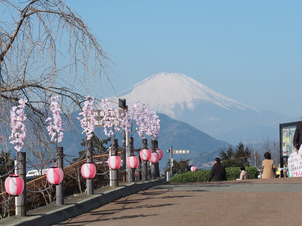 ふじやま