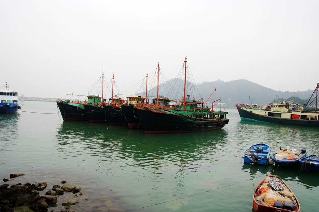 こがた港湾と大艦