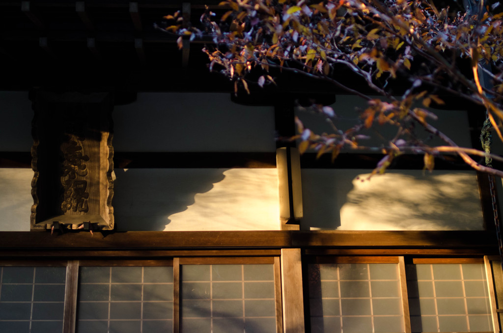 夕日