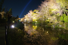 清水寺　池